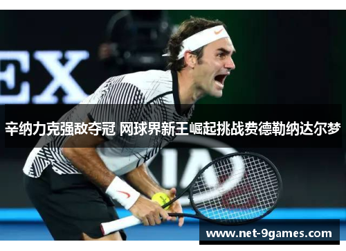 辛纳力克强敌夺冠 网球界新王崛起挑战费德勒纳达尔梦