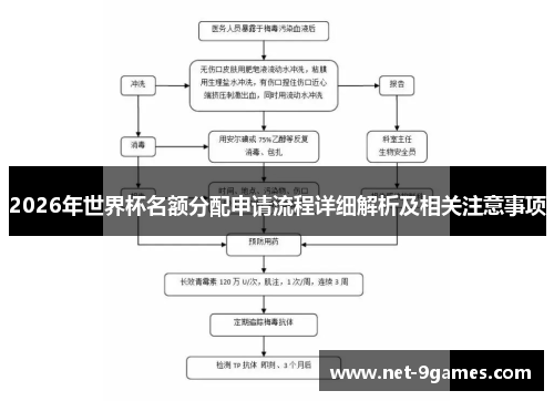 2026年世界杯名额分配申请流程详细解析及相关注意事项
