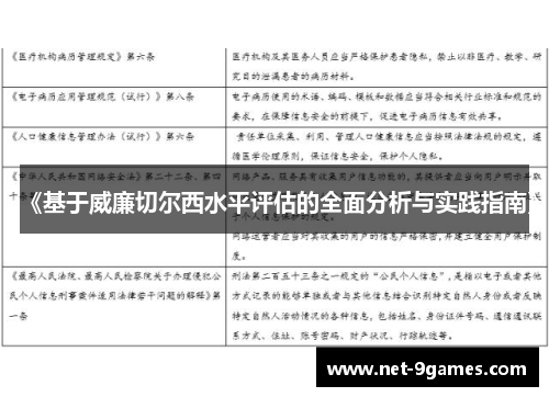 《基于威廉切尔西水平评估的全面分析与实践指南》