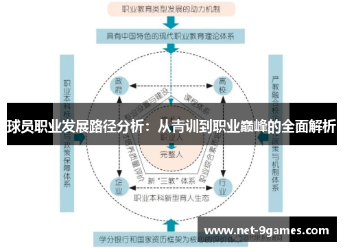 球员职业发展路径分析：从青训到职业巅峰的全面解析
